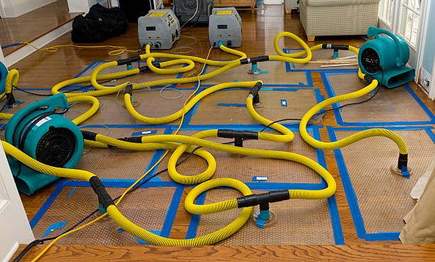Professional Water Damage Restoration technician working in Grantville, PA